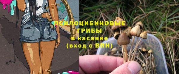 стафф Надым