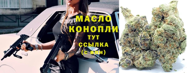 индика Михайловск