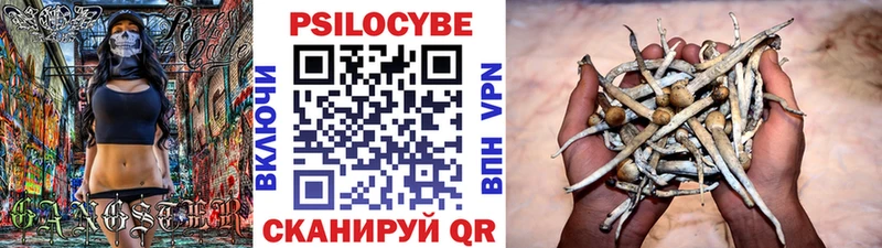 Псилоцибиновые грибы мицелий Новотроицк