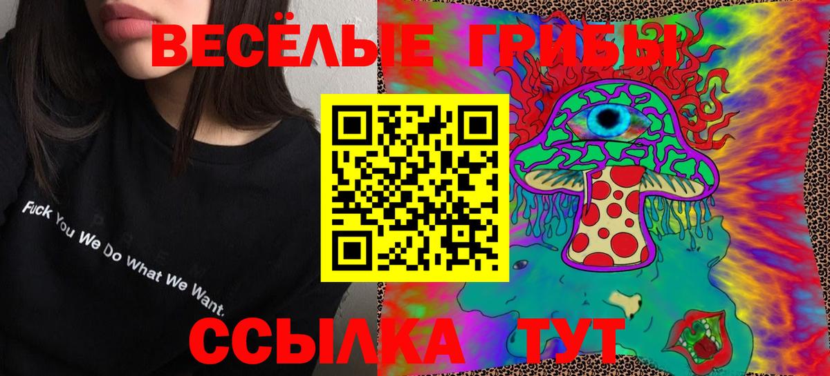 Новотроицк  Галлюциногенные грибы Psilocybine cubensis  где найти наркотики  Вход с VPN 